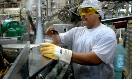 Informa CDT disminución moderada de trabajadores asegurados en BC