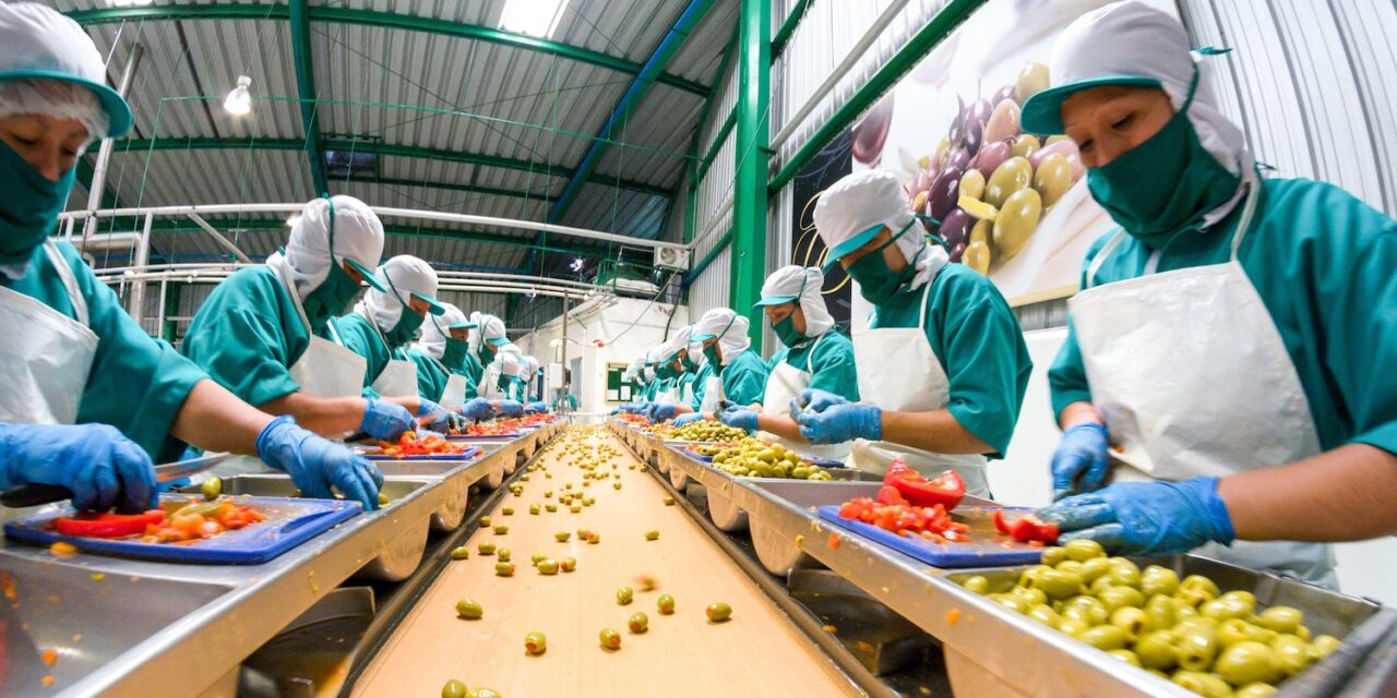 Prevén empresas alemanas aumentar inversiones en México por nuevo TLCUEM y TMEC