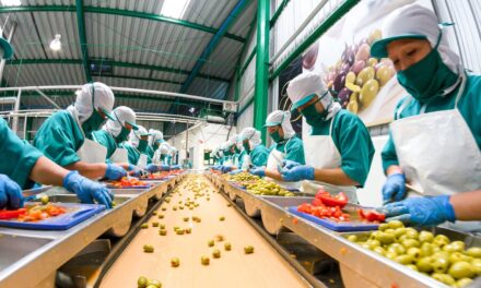 Prevén empresas alemanas aumentar inversiones en México por nuevo TLCUEM y TMEC