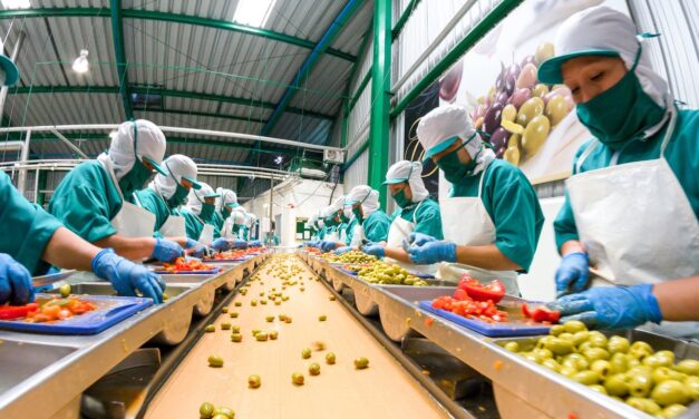Prevén empresas alemanas aumentar inversiones en México por nuevo TLCUEM y TMEC