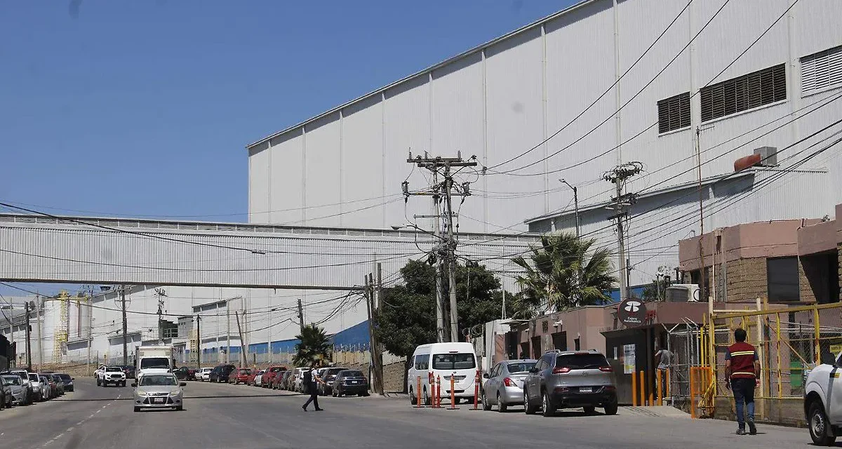 Pierden hasta 80 mil dólares empresas de BC por interrupciones eléctricas