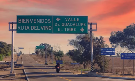 Fortalecen agenda de seguridad para el Valle de Guadalupe