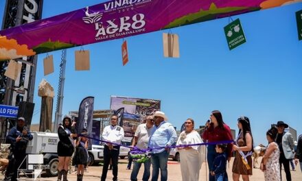 Reúne Viñadas 2026 a miles de visitantes en el Valle de Guadalupe