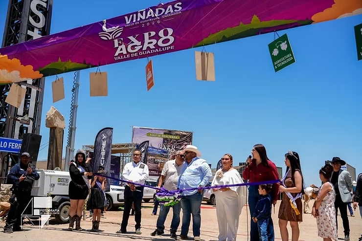 Reúne Viñadas 2026 a miles de visitantes en el Valle de Guadalupe