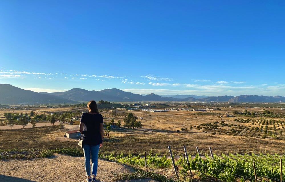 Resiente Valle de Guadalupe caída de hasta 20% en afluencia turística