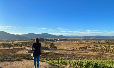 Resiente Valle de Guadalupe caída de hasta 20% en afluencia turística