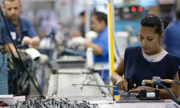 Plantean fortalecer proveeduría local mediante tecnología y capacitación