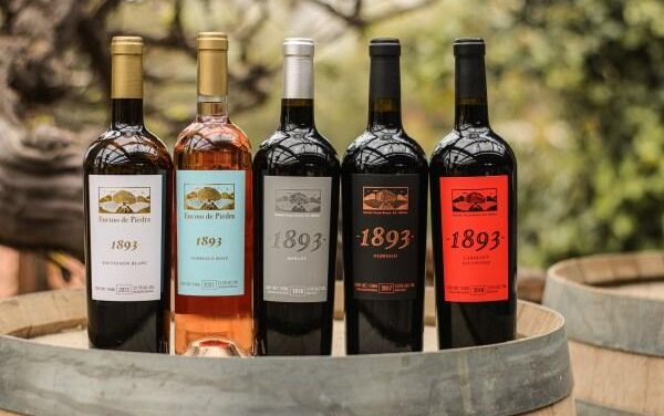 Llevarán el talento vitivinícola de Baja California a España