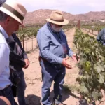 Fortalecen su formación vitivinícola con experiencia directa en Valle de Guadalupe
