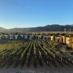 Abre California mayor mercado al vino mexicano