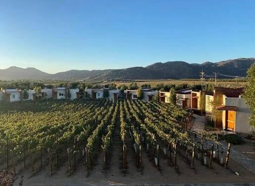 Abre California mayor mercado al vino mexicano