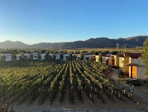 Abre California mayor mercado al vino mexicano