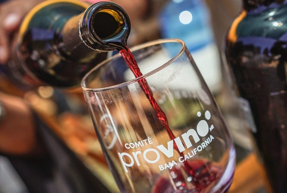 Participará Provino BC en eventos de otros estados