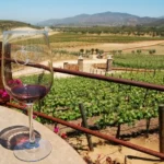 Permitirá California ingresar hasta seis litros de vino desde México a partir de 2027