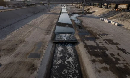 Cruza contaminación del río Tijuana a EU y escala hasta el TMEC