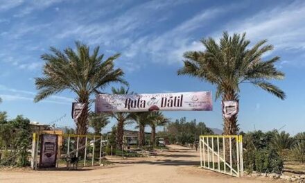 Preparan nueva ruta del Dátil en el Valle de Mexicali 