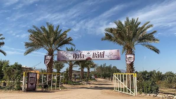 Preparan nueva ruta del Dátil en el Valle de Mexicali